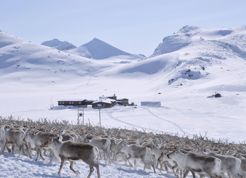 Leirvassbu Fjellstue Hotel Boverdalen ภายนอก รูปภาพ